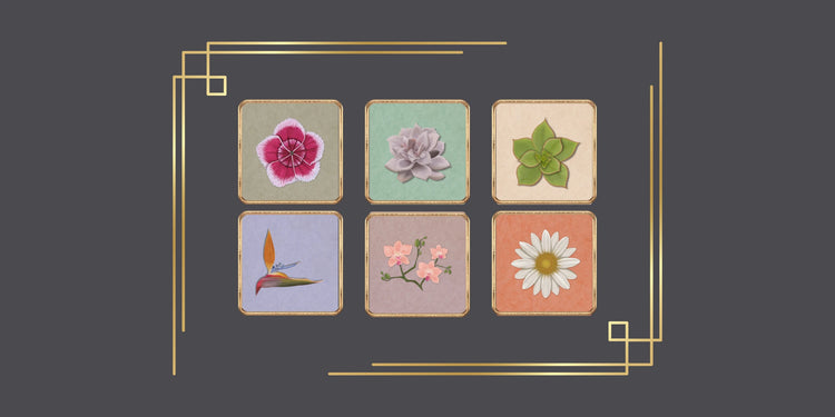 The Curated Botanicals Collection