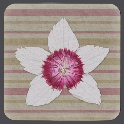 generated-preview-2
