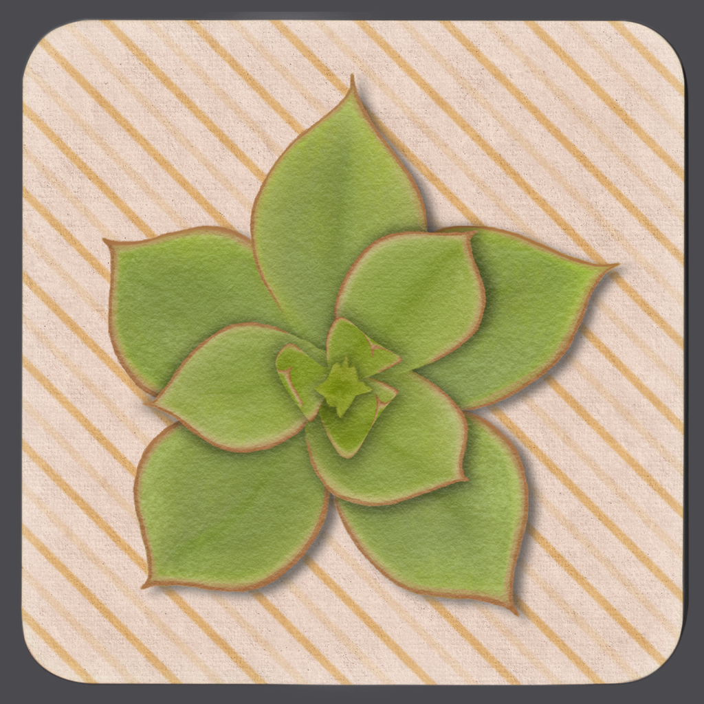 generated-preview-1